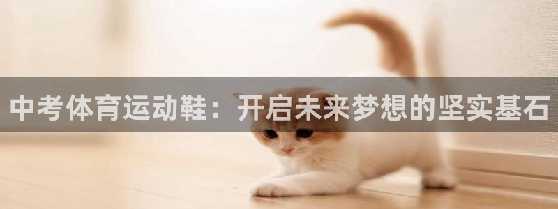 ug环球官网登录入口：中考体育运动鞋：开启未来梦想的坚实基石