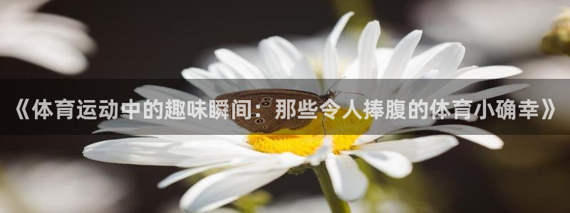 ug环球官网：《体育运动中的趣味瞬间：那些令人捧腹的体育小确幸》