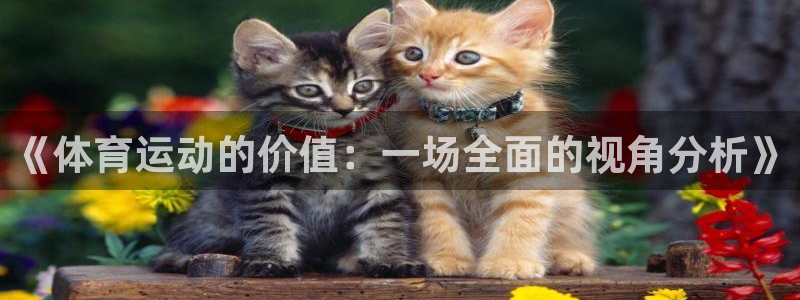 ug环球官网登录入口：《体育运动的价值：一场全面的视角分析》