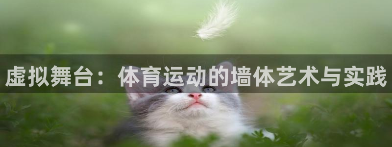 ug环球官网：虚拟舞台：体育运动的墙体艺术与实践