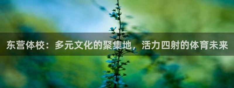 ug环球官网注册：东营体校：多元文化的聚集地，活力四射的体育未来
