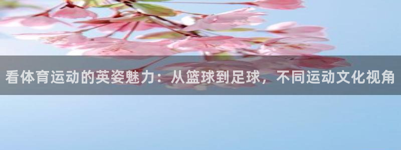 菲律宾ug环球官网：看体育运动的英姿魅力：从篮球到足球，不同运动文化视角