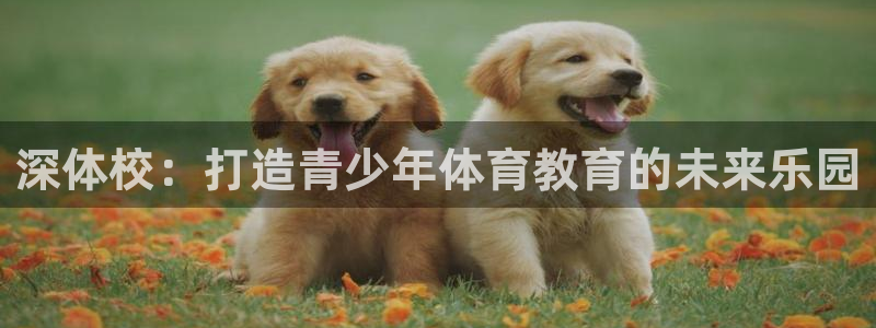 ug环球官网登录入口