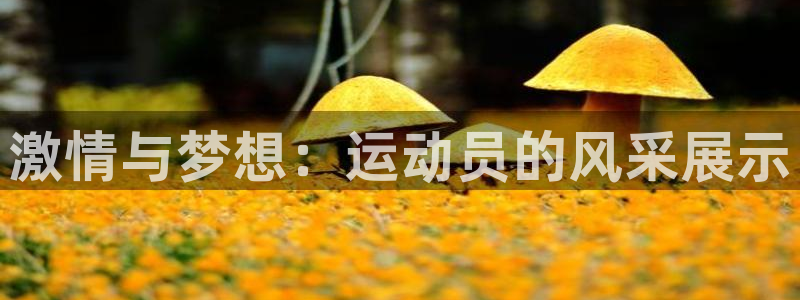 菲律宾ug环球官网：激情与梦想：运动员的风采展示